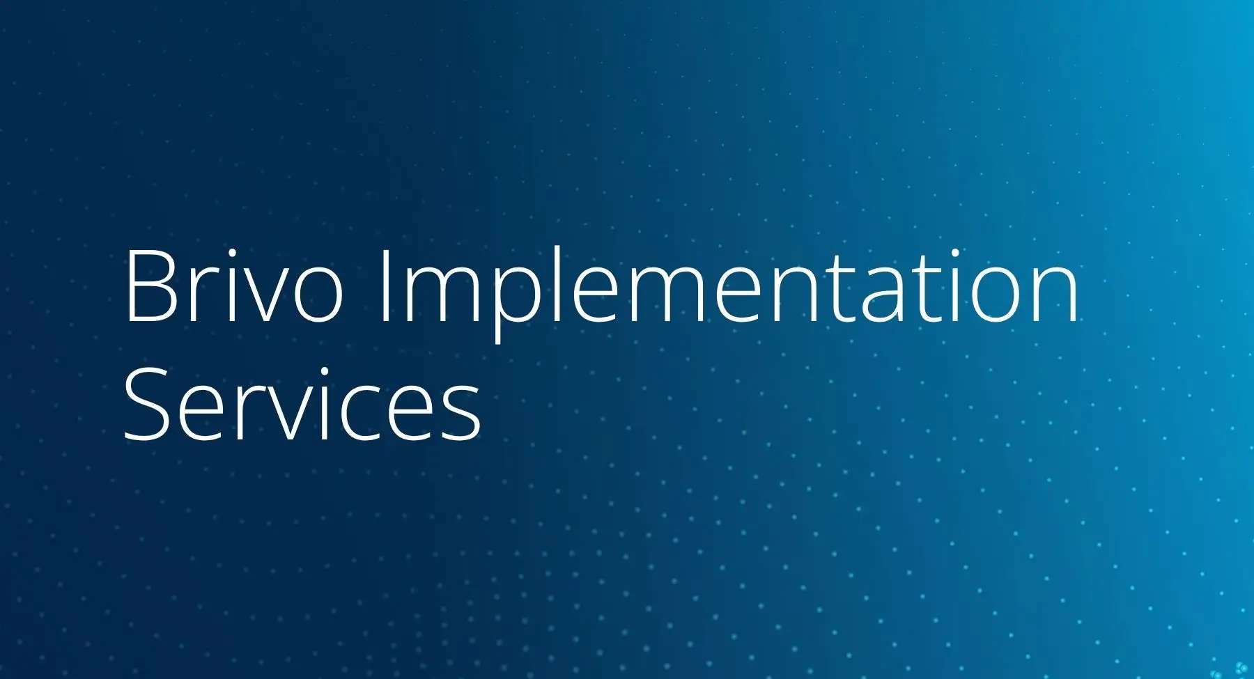 Implementation Services